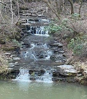 5th image of 1045 Jones Mill Rd