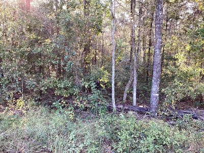 Carney Rd, Monticello, FL, 32344