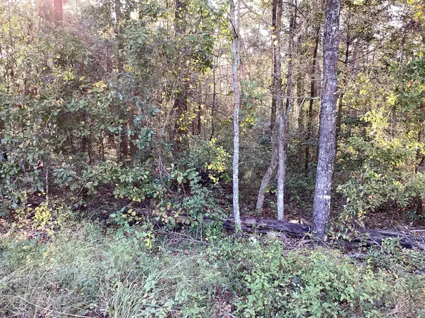 Carney Rd, Monticello, FL 32344