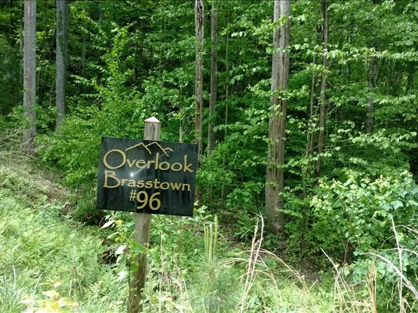 LOT 96 Brasstown Vw, Brasstown, NC 28902