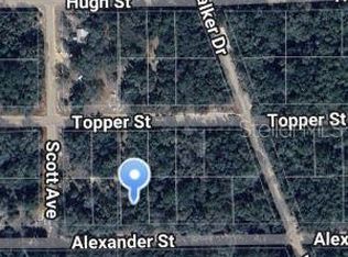 0 Alexander St #11, Interlachen, FL 32148