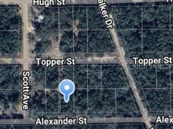 0 Alexander St #11, Interlachen, FL 32148