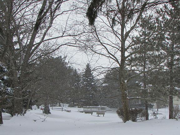5th image of 1801 Shadywood Ln