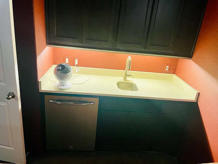 Sink + Refrigerator in Theatre Room