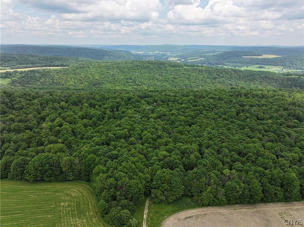 L2 Kenney Brook Rd 28, Truxton, NY 13158 Zillow