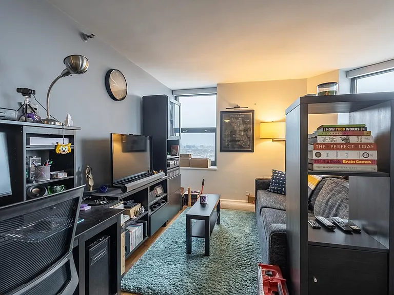 3660 N Lake Shore Dr #3912 — Photo 9