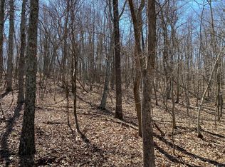 0 County Road 334, Lesterville, MO 63654