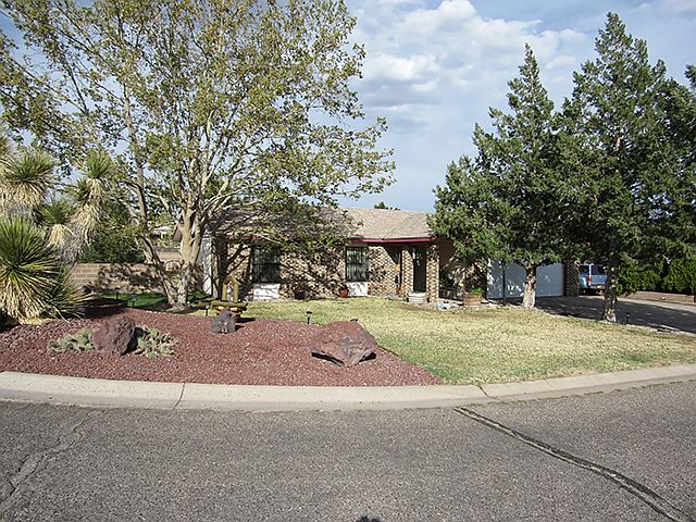Front Yard