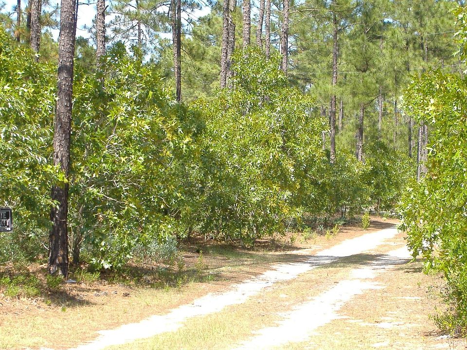 StreetView1