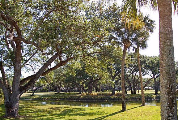 5th image of 350 Sabal Palm Ln