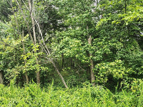 2nd image of 000 Highway 65