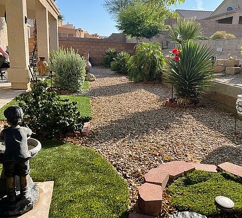Back yard