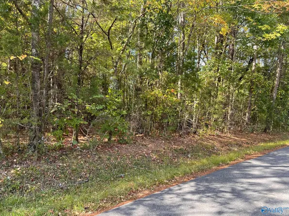 LOT Briarcliff Rd, Rainbow City, AL 35906