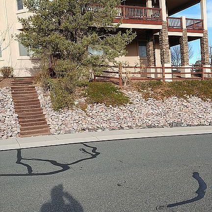 5th image of 2321 Lakewood Dr #91