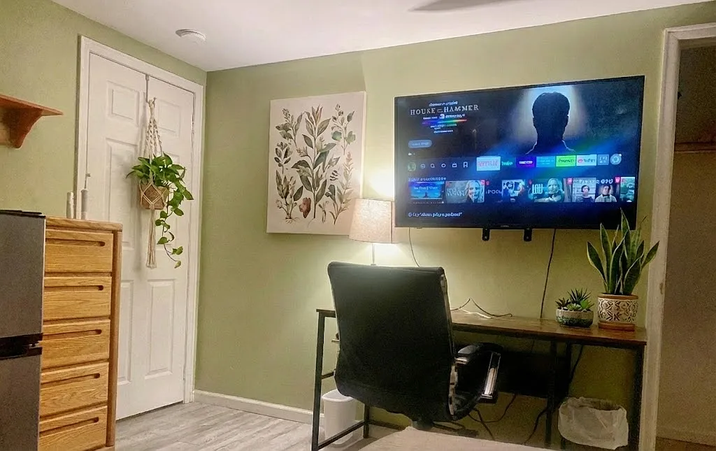700 Jamesville Ave. - Green Room — Photo 1