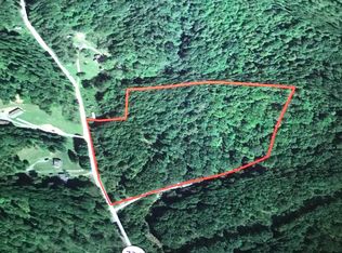 482 Old Mountain Rd, Pocahontas, VA 24635