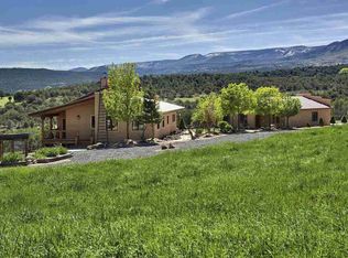 11073 547th Rd, Molina, CO 81646