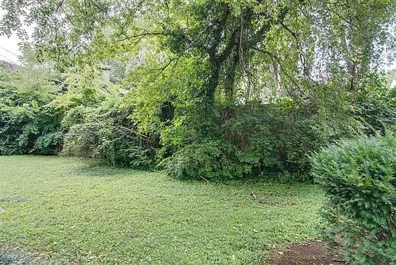 2827 Hazelwood Dr — Photo 10