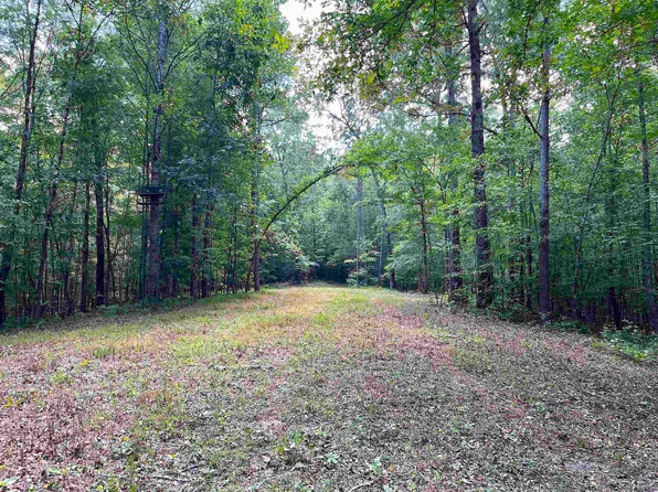 5335 Country Club Rd, Somerville, TN 38068