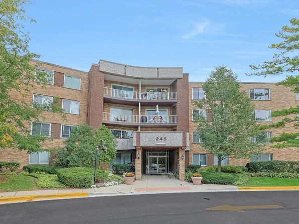 245 S Park Ln Unit 409, Palatine, IL 60074