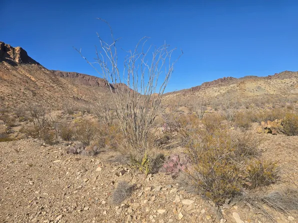 301 Left Out Rd, Terlingua, TX 79852