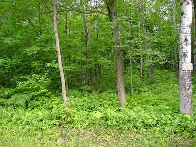 2nd image of Lot 7 LAKE Road