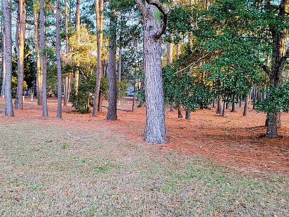 3rd image of 9110 SW Devaun Park Blvd. #DEVAUN PARK