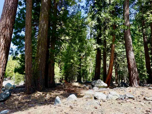 59 Yonkalla Trl, Blairsden Graeagle, CA 96103
