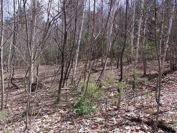 5th image of Swiftwater Circle #259