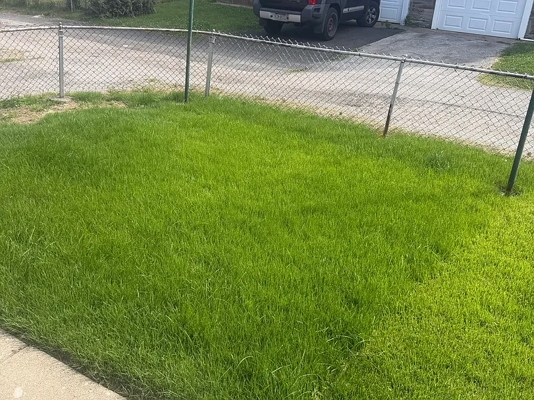 541 Fern St — Photo 16