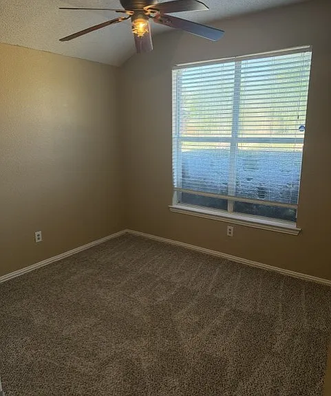 8806 Oakwood Ln — Photo 14