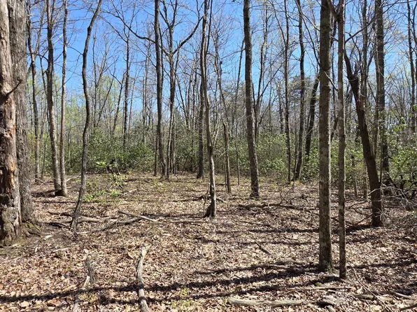 Point Pl, Monterey, TN 38574