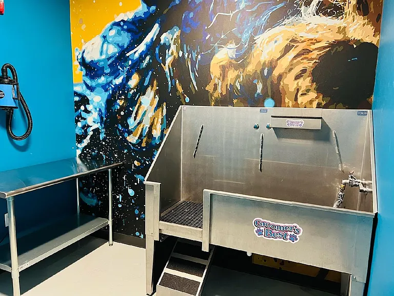 Pet Wash Station