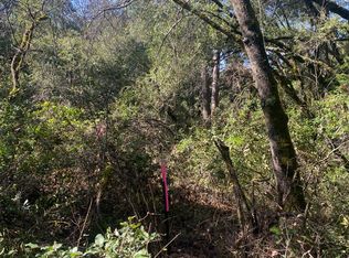 12658 Contini Mine Rd, Jackson, CA 95642