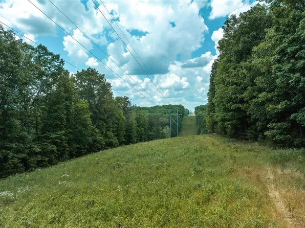 0 Dalton Dr, Licking, MO 65542