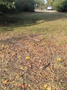 1444 S Willett St, Memphis, TN, 38106