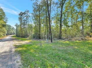 100 Virginia Creek Dr, Coldspring, TX 77331