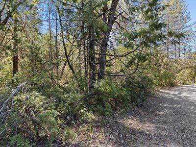 Brookside Dr, Dobbins, CA, 95935