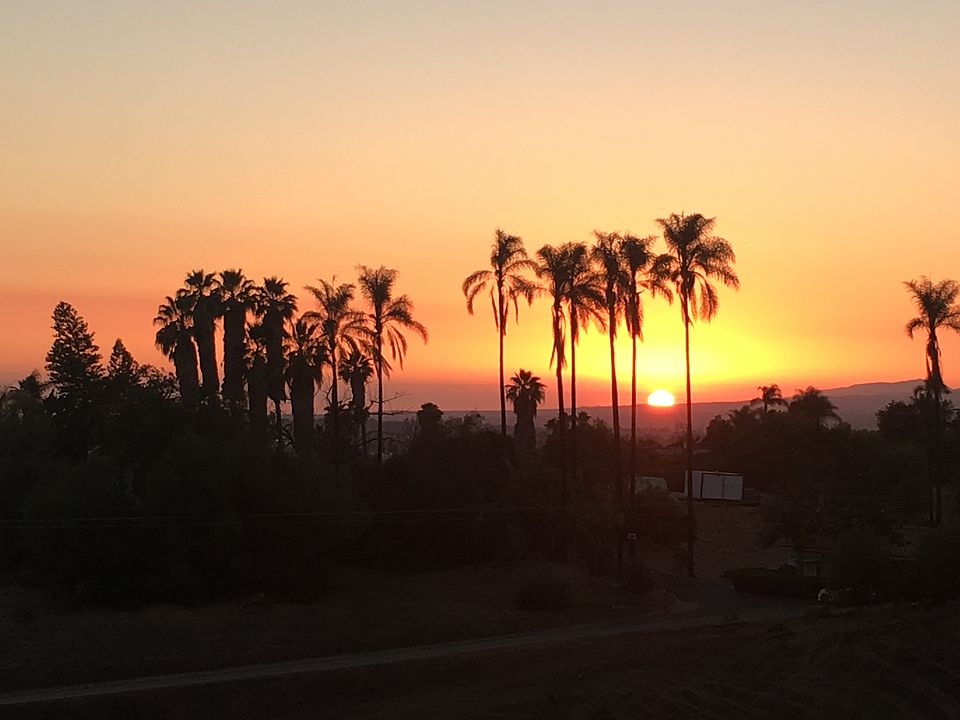 1st image of 339 Sunrise Cir