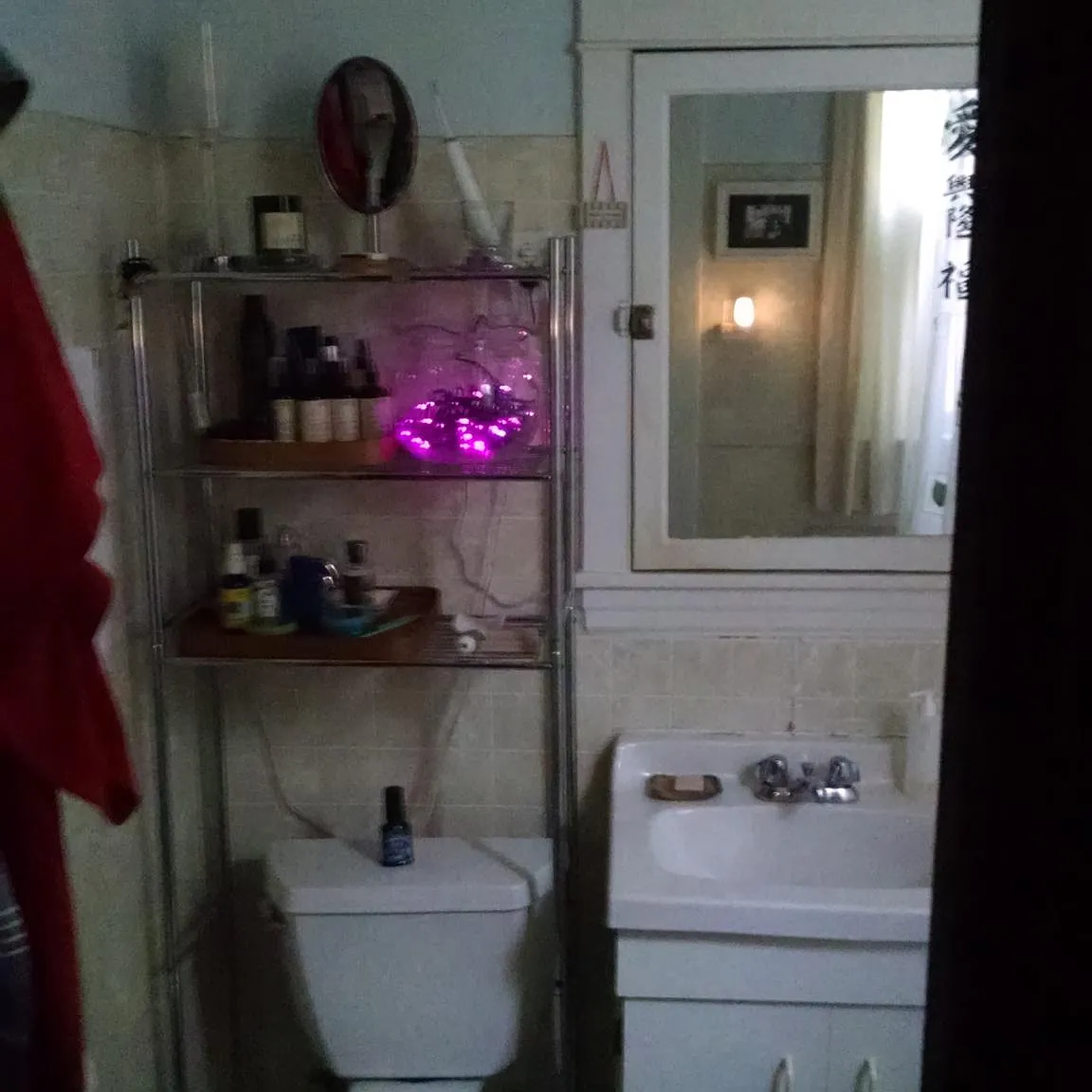 1 bed, 1025 sqft, $1,600 — Photo 2