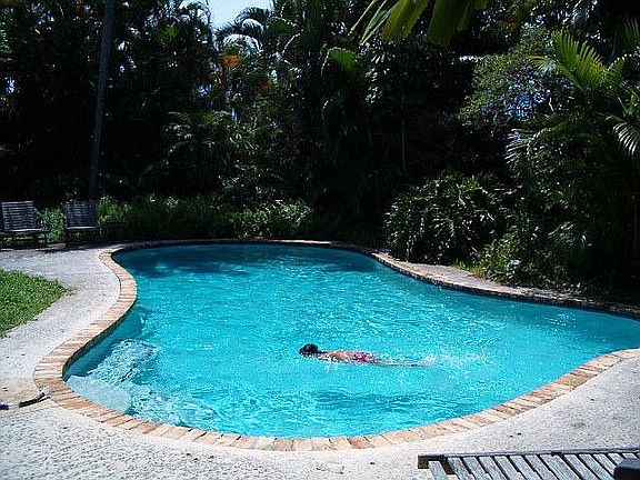 exotic pool on huge lot