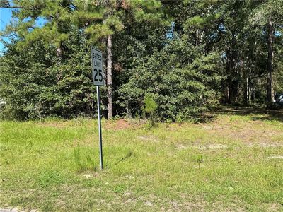 111 Rosy Rd, Blackshear, GA, 31516