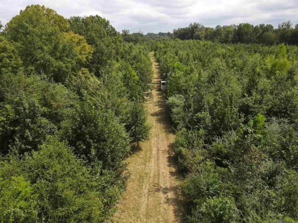 Highway 171, Many, LA 71449