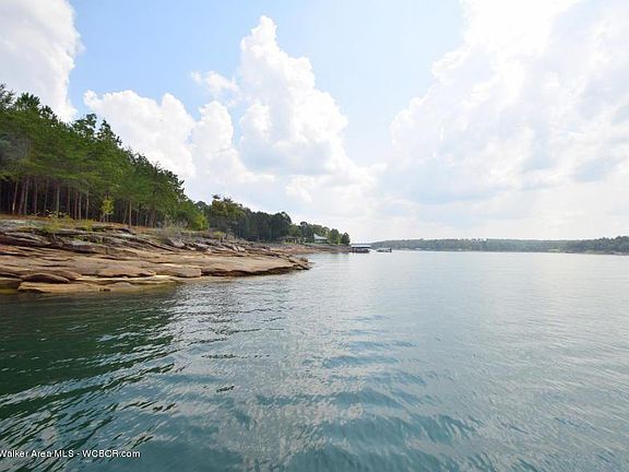 Image 2: View From Cove