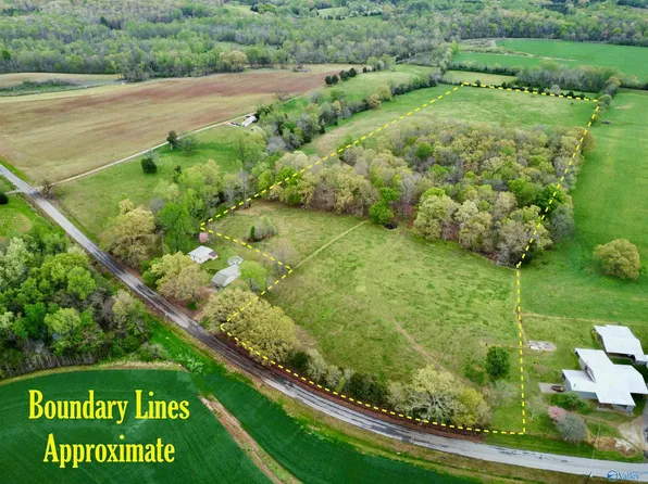 157 Mint Springs Rd, New Market, AL 35761