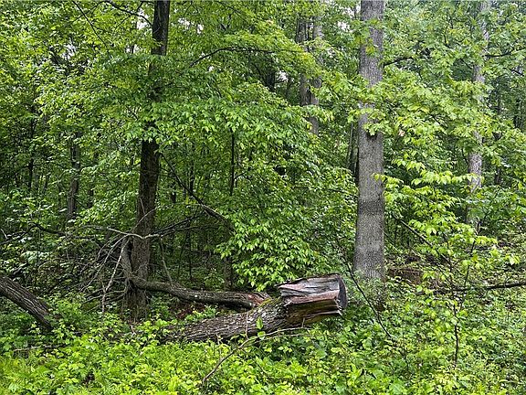 3rd image of Township Road 1089