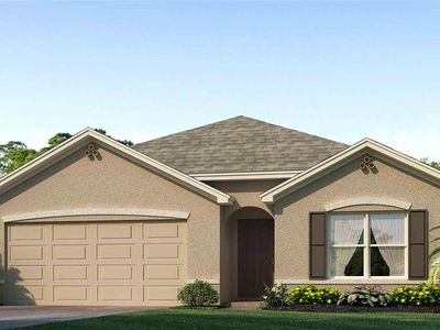 1232 Maritime Hammock Ave, Ruskin, FL, 33570