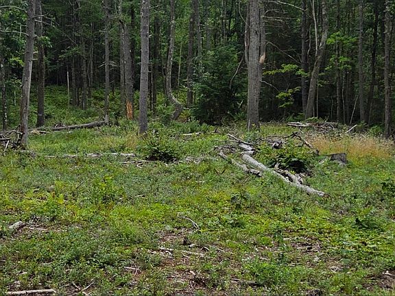 5th image of LOT B1&b2 Baldwinville Rd