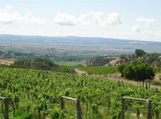 14139 Runzel Gulch Rd, Hotchkiss, CO 81419