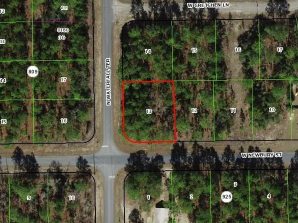 1273 W Newbury St, Citrus Springs, FL 34434
